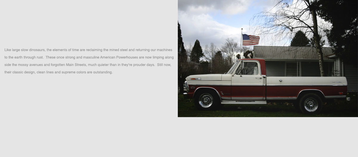 nivo slider image