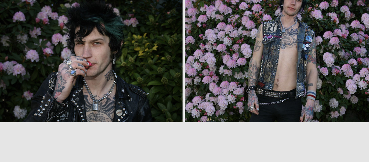 nivo slider image