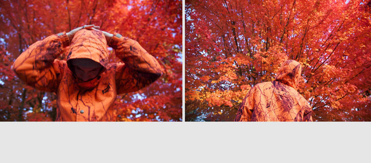 nivo slider image